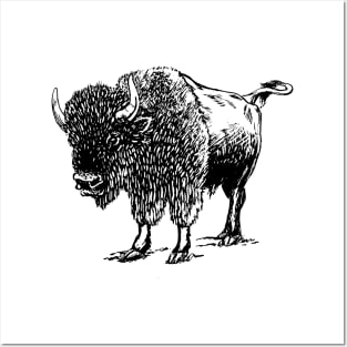 Cute bison gift ideas, bison tees bison hoodies Posters and Art